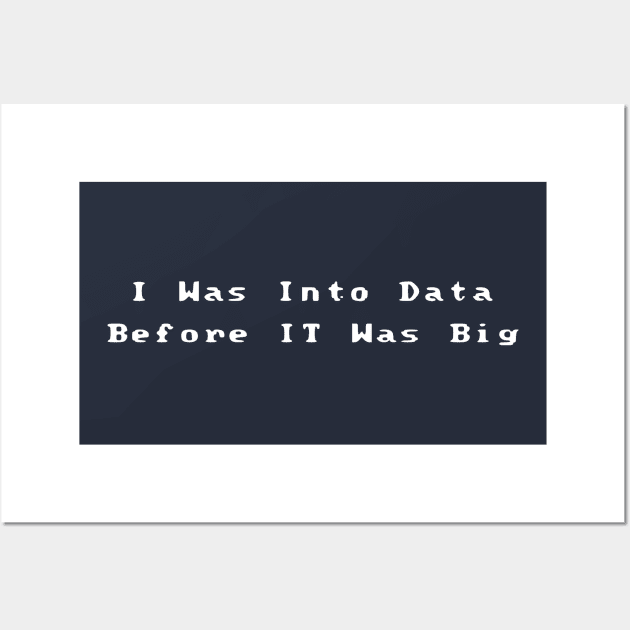 I Was Into Data Before It Was Big Wall Art by Humorable